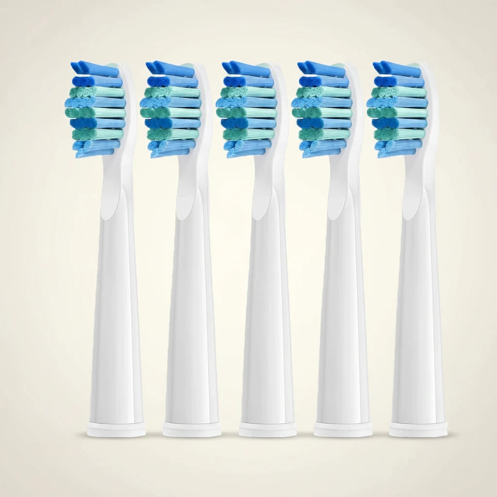 Kit de 5 têtes de rechange FrenchSmile Blanc/Noir