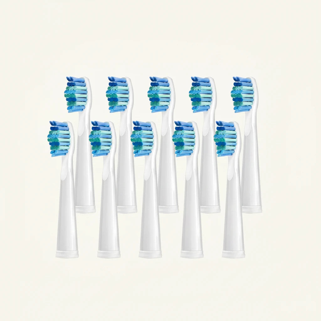 Kit de 10 têtes de rechange FrenchSmile Blanc/Noir