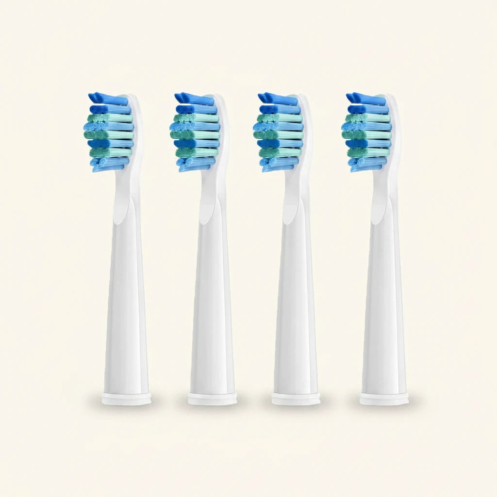 Lot de 4 Brossettes de rechange
FrenchSmile