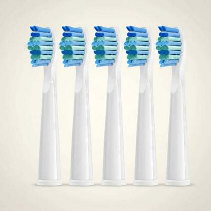 Kit de 5 têtes de rechange FrenchSmile Blanc/Noir
