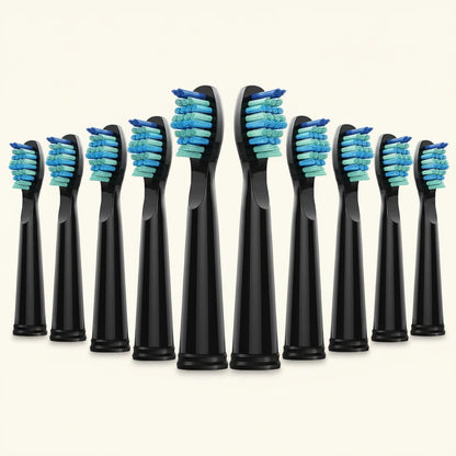 Kit de 10 têtes de rechange FrenchSmile Blanc/Noir