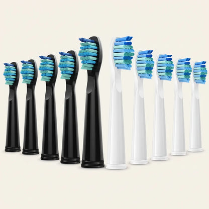Kit de 5 têtes de rechange FrenchSmile Blanc/Noir