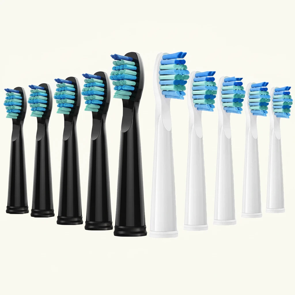 Kit de 10 têtes de rechange FrenchSmile Blanc/Noir